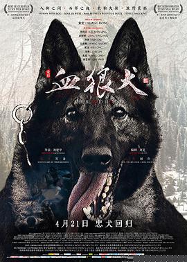 血狼犬【影视解说】