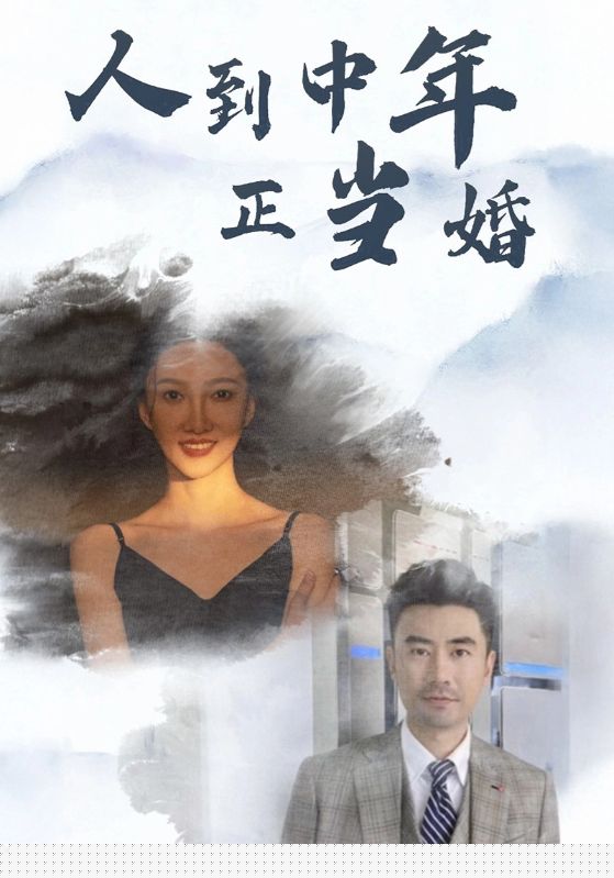 人到中年正当婚