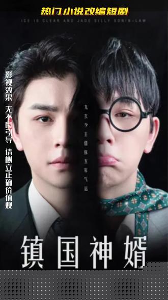 镇国神婿