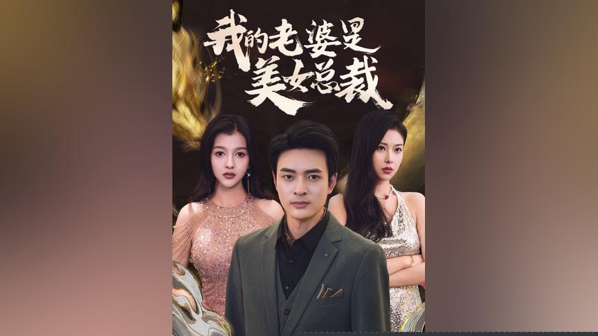 (新)我的老婆是美女总裁