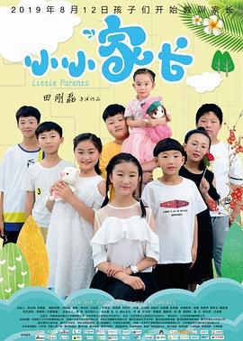 小小家长热门电影电视剧免费在线观看