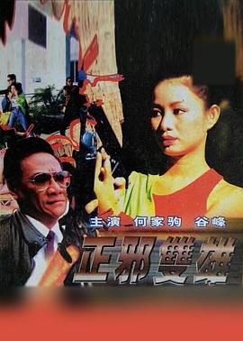 正邪双雄热门电影电视剧免费在线观看