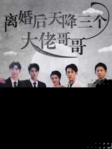 离婚后天降三个大佬哥哥