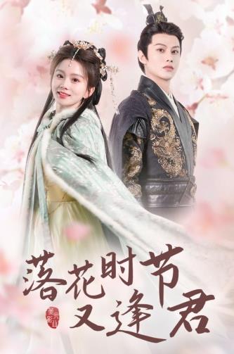 落花时节又逢君热门电影电视剧免费在线观看