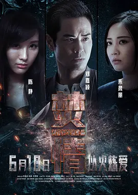 焚情[电影解说]