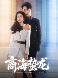 商海蛰龙热门电影电视剧免费在线观看