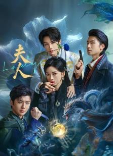 夫人2025热门电影电视剧免费在线观看